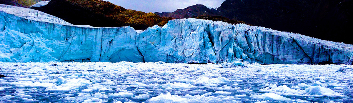 Peru: Bus-Tour Hiking Puyaraimondi (4300 m) and Glacier Pastoruri (5000 m)