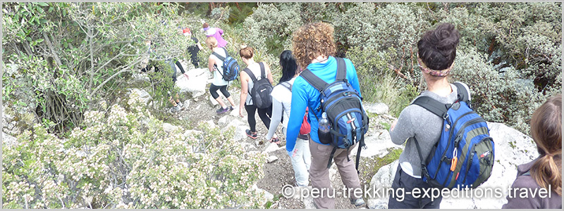 Peru: Trekking Laguna 69 Adventure over (4650 m)