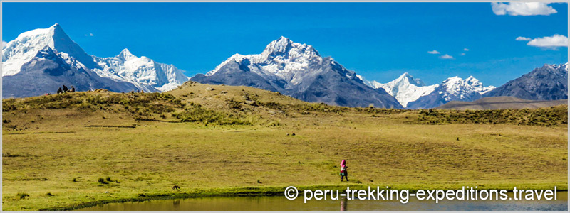 Peru: Trekking Laguna Churup Adventure over (4450 m)